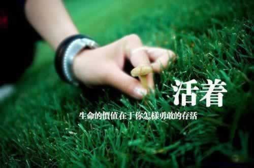 平台网络取款通道维护审核提现失败操作办法（图）