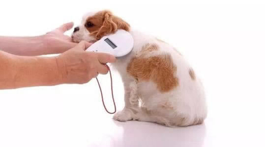 在网上玩平台抽查审核提现不了啥回事(图)