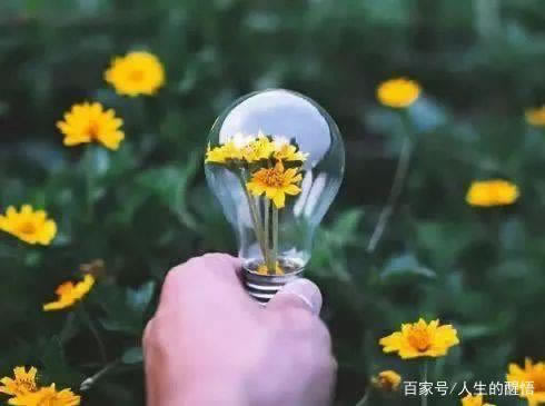 碰到提现失败怎么解决补救策略（图）
