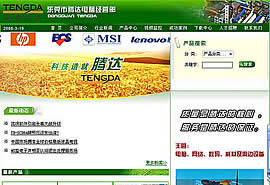 网站建设成功案例:东莞腾达电脑科技