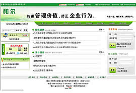 网站建设成功案例:和尔企业咨询管理