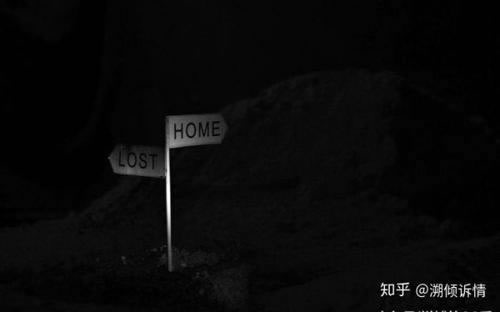 网堵赢钱提现不了怎么办﻿ 是怎么处理的