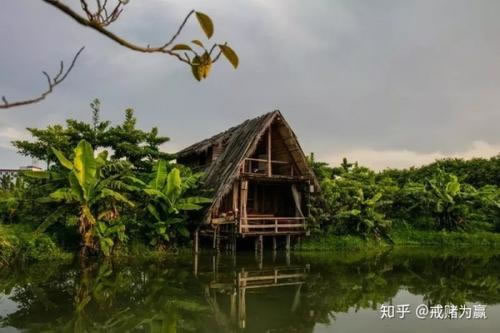 有哪些黑平台可以下款_能办款黑出平台贷款吗_被平台黑了不能出款怎么办