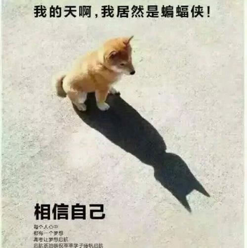 网堵风控审核不能取款怎么办	找这个就可以