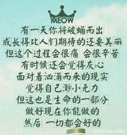 出黑藏分教程 ! 不懂怎么办看这里