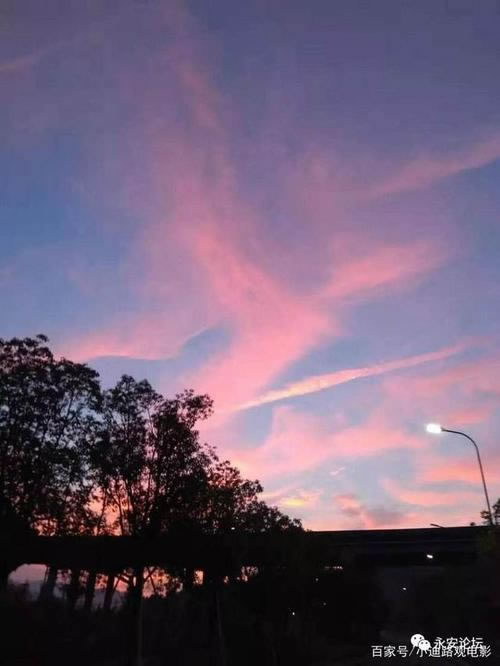 被黑不给取款审核怎么办；简单快捷