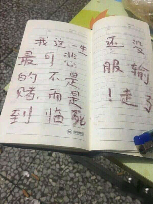 网堵藏分教学；平台的真实情况