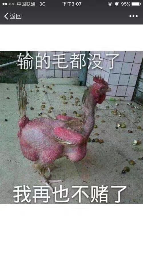 网堵审核不通过说维护 ! 藏分技术可以解决